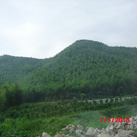 ����������Ͽ����ϪͼƬ������