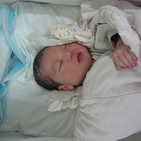 ��������˯ͼ��---һһ˯����