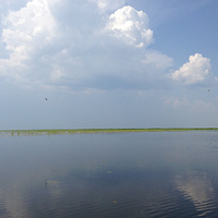 ��Rose�� ��ʮ��վ ��ˮ���������ѵ� 