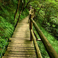 ��ţ���е�ջ��������