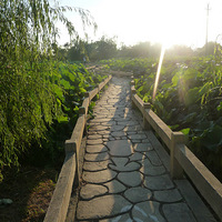 ������̫ƽ��ɻ���