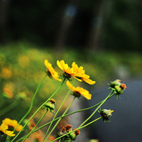 ���� ���� С�ƻ� ˬˬ������~~