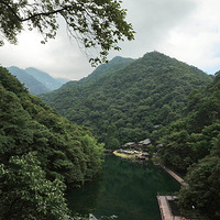 ��ţ���е���ţ��