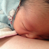 ������˯ͼ�������ݵ���������