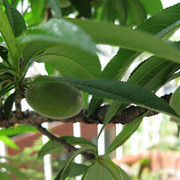 ɹɹ�ҼҵĻ����ݲ�