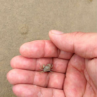 �ϵ��ϰĵ�PP