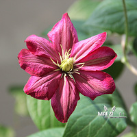 �������������ҵ���Щ����