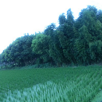 �����ձ���Ҵ�����+�ϼң����ڵĵط�