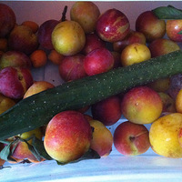 �����ձ���Ҵ�����+����Щ������ή�Ļ����ݲ�