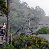 ��������ɽ