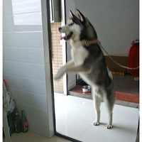 �ԣ���������������׷�󣡣����й�ʿ��2��