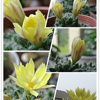 ��Щ�������ź����С�ɰ���~