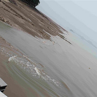 8.3-8.4������һ��ȥ��������¶Ӫ�����滷���Ĺµ�Ҫ�ɴ�ȥ��