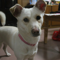 ������2���˵��Ҹ�����������ϼ�