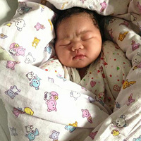 ������˯ͼ+ViVi�㣨��˵����Ҫ����������������