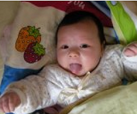 ����С����3���ɳ�����������