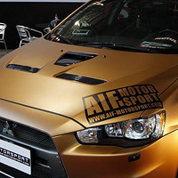 ��ɫEVO���ջ�����