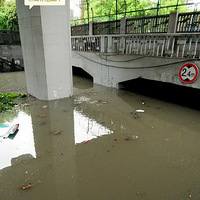 ����һ������ ���ݾ�Ȼ������