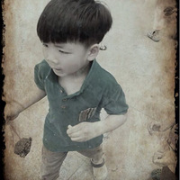 ����ж�������