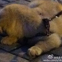 ��Ҳ���������Ҽҹ������Ҹ����