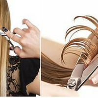 ����ҷ���   �������ﶬ����