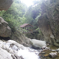 ����������