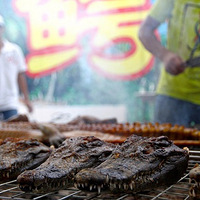 ����һ���Σ���������ʳ�ڣ����֡��������㡱������ͼ~