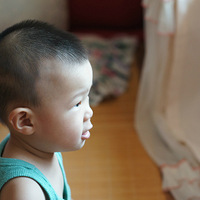 �þ�ľ������������Ƭ��