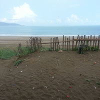 ��һȺ����ȥ¶Ӫ