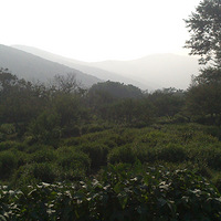 ���г��Լ�̫����