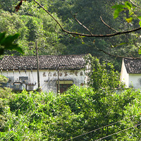 ����ڵǶ���������ɽ