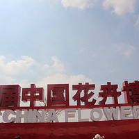 21�ų��ݻ�����