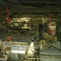 �����ֶ���������İ�������©�������