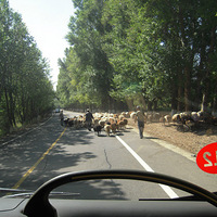 �������������ķ���