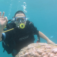 ���˷���Ǳˮ�ղ�������