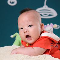 ��ʮ���������