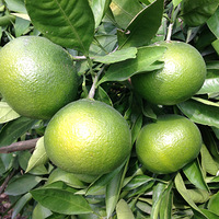 ����֮�й���������ɽ�壬��Ϫ��