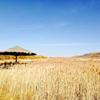 һ·����--�������� 2013.10 