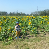 �����µ����տ� �ɻ��� ���� 