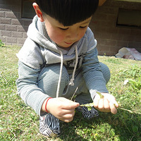 �����û��19¥�ˣ�����ɹɹ��