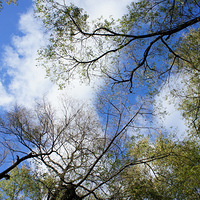 �������������  ���������Ҳ����