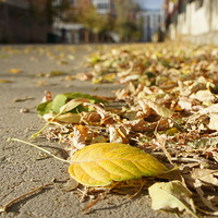 ������������� ϸ�ھ�������