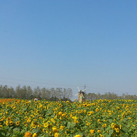 ���죬��ȥ�����տ�����