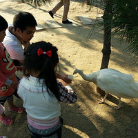 ��̫��֮�ö����������ͳ�Ұ������԰��ԭ��̬��