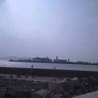 ȥ�������������Ļƺ�