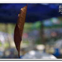 ���㻦�������ѻ��ۼ�����ҵ��տ�԰����