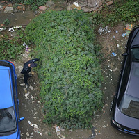 ��Ǳ���ĺ���