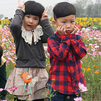 ���տ�������