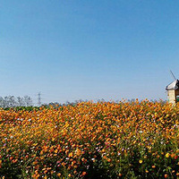 ���տ���չ