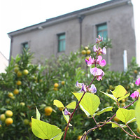 19¥�����Լ����ϱ���������С��